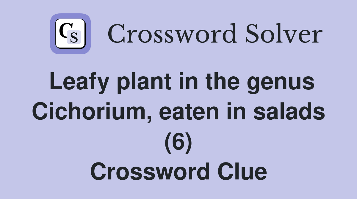 Leafy plant in the genus Cichorium eaten in salads (6) Crossword